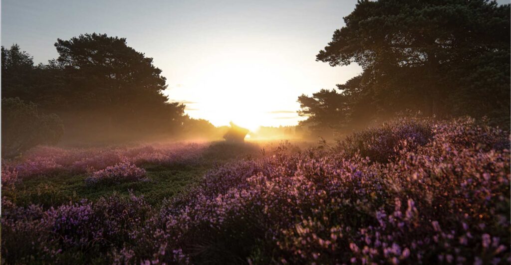 Buying a vacation home in Drenthe