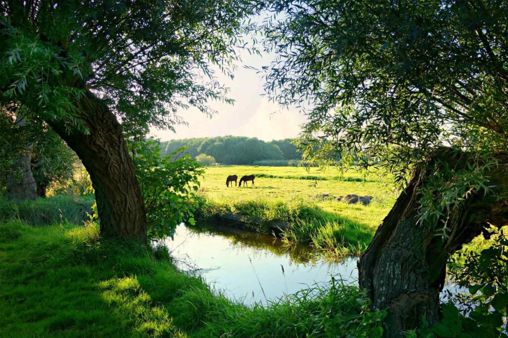 De voordelen van een recreatiewoning in Nederland.
