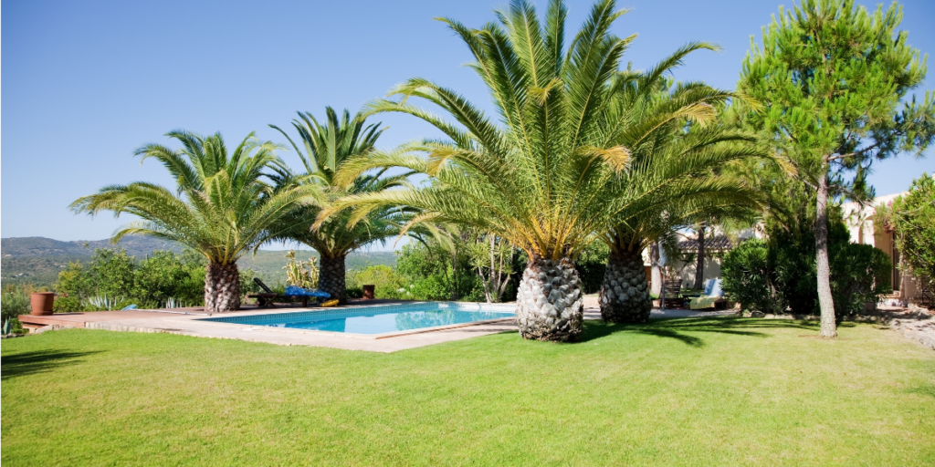 Ter plaatse op tweede huizenjacht