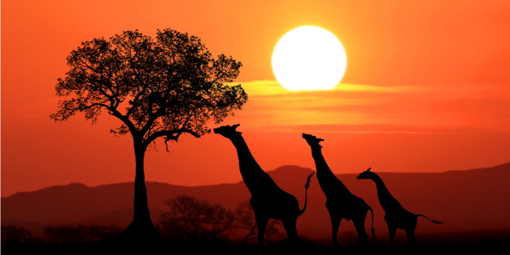 Een huis verhuren in Zuid-Afrika