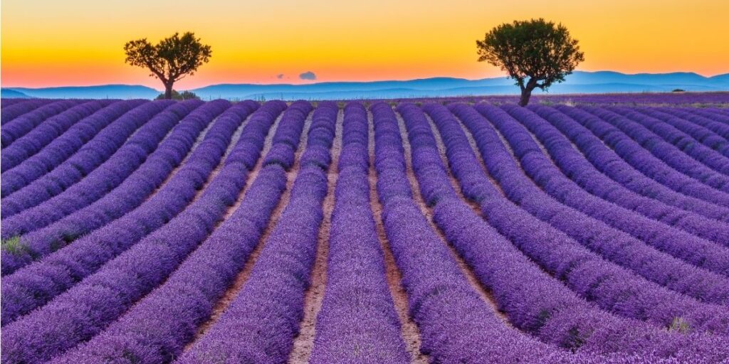 Een huis kopen in de Provence