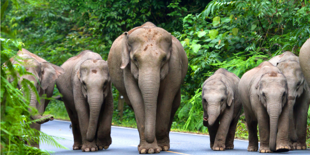 Purchasing a second home in Thailand